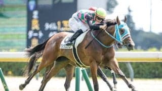 【AI予想・阪神JF】近年は前走の重賞で連対した馬が強さを見せる！ 本命は人気薄でも能力はヒケを取らない実績馬