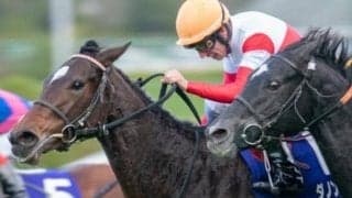 半姉は阪神JF覇者のダノンファンタジー エムズが注目のデビュー戦だ