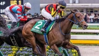 霜降り明星・粗品が阪神JFを予想 「枠も最高」とアルテミスS覇者を本命指名