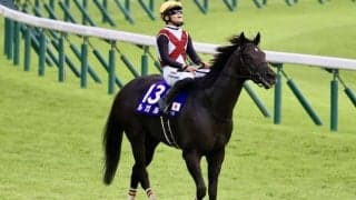 【香港国際競走】ルガル・杉山晴師「引けは取らない」…香港スプリント出走
