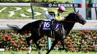 【香港マイル】ジャンタルマンタルは8番ゲートから…日本馬2頭が参戦