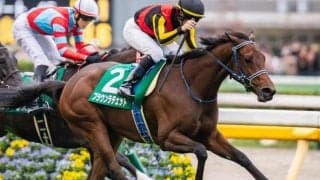 【今日の注目ポイント】2歳女王決定戦・阪神JFと香港国際競走