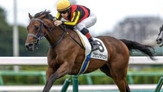 【阪神JF予想】今年は淀が舞台の2歳女王決定戦 傷んだ馬場への対応は勝負のカギに 