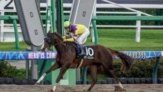 【カペラS予想】ダート界の短距離巧者、師走の中山に集う スピードだけなくタフさも必須