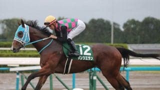 【競馬予想】阪神JFの穴馬を見つけた！ 信頼性高い直近データから導いた２頭