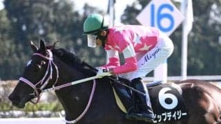 京都芝は内枠＞外枠 ビップデイジーとテリオスララが好配呼ぶか