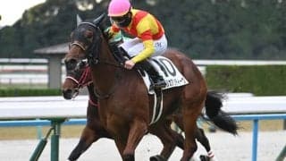 【京都5R新馬戦結果】オスカーパフォーマンス産駒エリカアンディーヴが初陣飾る