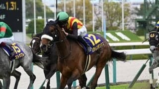 【香港ヴァーズ結果】イギリスのジアヴェロットが優勝！ 日本のステレンボッシュが3着