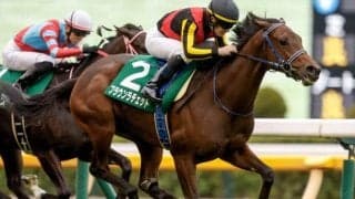 【阪神JF・馬体重】ブラウンラチェットは428kg(-12)、ショウナンザナドゥは438kg(±0)