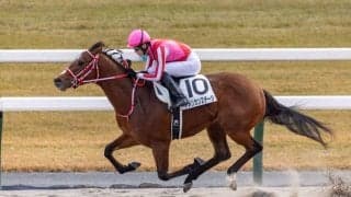 【京都6R】外国産アメリカンステージが2連勝…人気馬フェデラーは4着