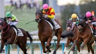 【新馬/京都5R】外国産エリカアンディーヴがデビューV…人気のスティレセイルは9着