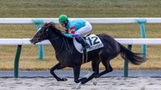【新馬/京都4R】武豊ヤマニンバロネスが8馬身差圧勝