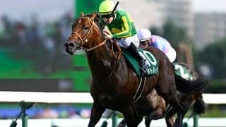 【香港スプリント結果】カーインライジングが8連勝でG1タイトル獲得！ サトノレーヴが日本馬最先着