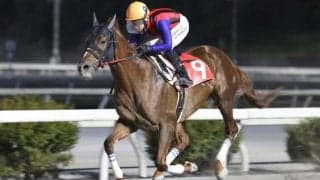 【高知・長浜特別】ユメノホノオが快勝…吉原「つぎに繋がる」