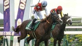 2歳マイル王者決定戦・朝日杯FSと地方では全日本2歳優駿/今週の競馬界の見どころ