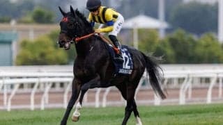 【香港マイル】高野師「少し足りていなかったのかも」ジャンタルマンタルは厳しい13着