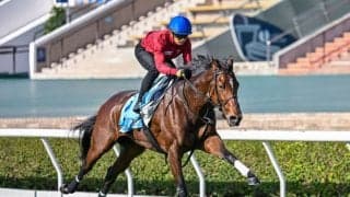 【香港カップ】中内田師「リバティらしい末脚は見せてくれた」リバティアイランドは2着