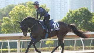 【香港マイル】池江師「よく頑張りました」ソウルラッシュは惜しい2着