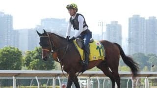 【香港スプリント】サトノレーヴは健闘の3着…モレイラ「彼の走りには満足しています」