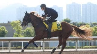 【香港スプリント】菅原明「促しながらの追走でした」トウシンマカオは9着