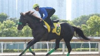 【香港スプリント】西村淳「申し訳ないです」ルガルは出遅れ響いて11着敗退