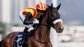 【香港ヴァーズ】モレイラ「素晴らしい走りでした」ステレンボッシュは後方から伸びるも3着