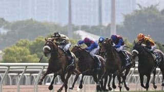 【香港ヴァーズ】国枝師「ロスがあった」1番人気ステレンボッシュは3着まで