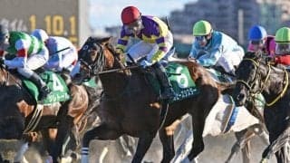 【カペラS】売上は32億3558万500円で昨年より約2.5億円減少