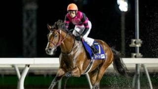 【川崎・全日本2歳優駿枠順】ソルジャーフィルドは5枠5番、ナチュラルライズは6枠6番