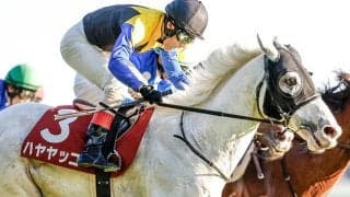 【有馬記念出走馬決定順】フルゲート16頭に対して22頭が登録 ハヤヤッコまで出走可能
