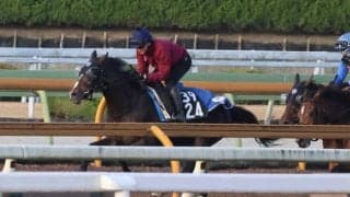 セレクトセール当歳で2億2000万円 メディテラニアンが土曜京都で初陣/関西馬メイクデビュー情報