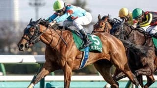 【ターコイズS想定騎手】ミアネーロはC.ルメール騎手、ドゥアイズはC.デムーロ騎手