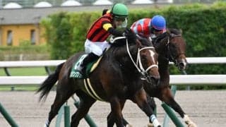 【AI予想・朝日杯FS】前走1着馬などが強さを見せる2歳マイル王決定戦！ 本命候補3頭の素質の高さは疑う余地なし