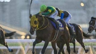 【東京大賞典】中央・地方の選定馬16頭が発表 ウシュバテソーロやフォーエバーヤングなど