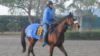 叔母は仏と英でG1勝ちの実績 レイデアンジェロがR.ムーア騎手と初陣/関東馬メイクデビュー情報