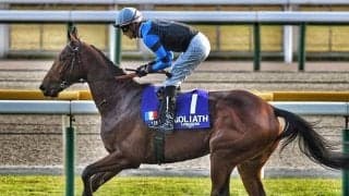 外国馬の「カナ読み」は誰が決めている？ JRA担当者に聞いてみた