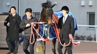 2歳女王に輝いたアルマヴェローチェ 父と母父の“対照的な特長”とは