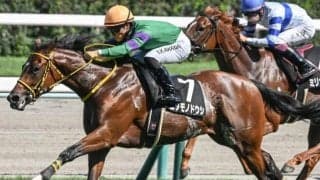 ディーマジェスティ産駒の“大器” ニタモノの息子が父に初のGIタイトル届けるか