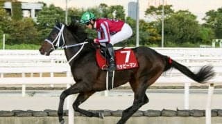 【全日本2歳優駿】ハッピーマンは6枠7番へ