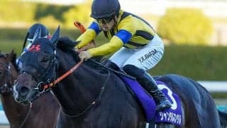 昨年の朝日杯FS覇者の父パレスマリス 馬産地でも大人気なその後の活躍ぶりとは