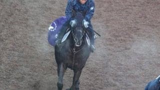 クロワデュノールなど、先週の入厩情報/栗東トレセンニュース