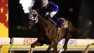 ダートGI級6勝のフリオーソが種牡馬引退 ダーレー・ジャパン公式Xが発表 20歳