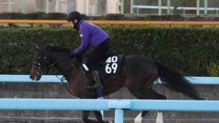 ダーヌビウスの2022(レッドイステル)など、先週のゲート試験/栗東トレセンニュース