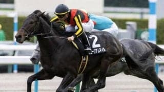 【朝日杯FS予想オッズ】ミュージアムマイルが予想1番人気