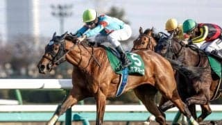 【ターコイズS予想オッズ】ミアネーロが予想1番人気