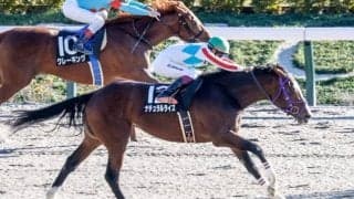 【川崎・全日本2歳優駿注目馬】ダート三冠や世界につながるダート2歳王者決定戦 中央・地方の素質馬が集う