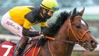 21世紀初なるか 京王杯2歳S覇者が朝日杯FSに距離延長で挑む