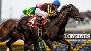 【ホープフルS想定】クロワデュノール、マジックサンズなど13頭