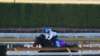 ドウデュース、有馬記念1週前追い切り速報/栗東トレセンニュース