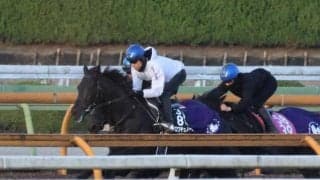 クロワデュノール、ホープフルS2週前追い切り速報/栗東トレセンニュース